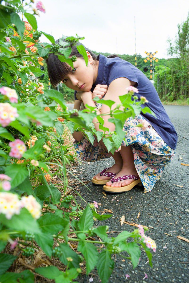 从花开到花谢